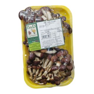 CONF. FUNGHI CHIODINI