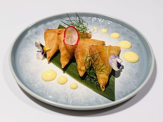 A17 Samosa
