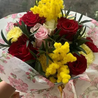 Donna special