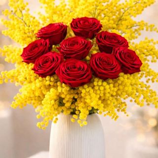 Mimosa con rose rosso premium