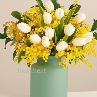 Tulipani bianco con mimose