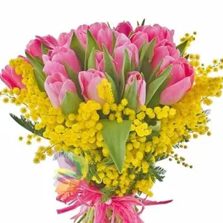 Tulipani rosa con mimosa