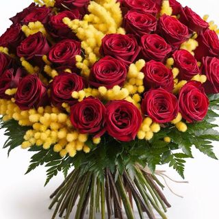 31 rose rosso con mimose