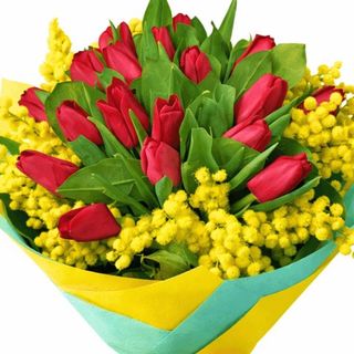 Tulipani rosso con mimose