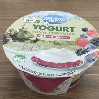 MERANO YOGURT FRUTTI DI BOSCO 150g.