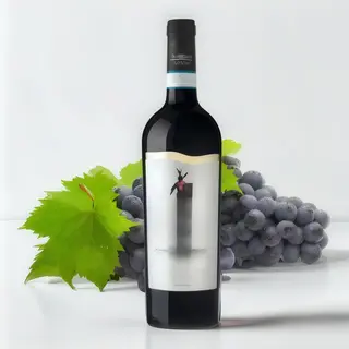 Barbera del Sannio Versacrum