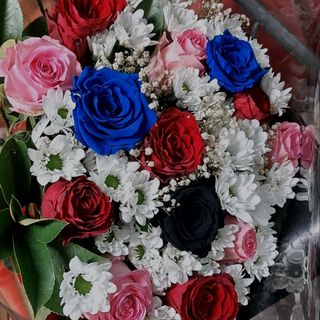 Rosa blu rosa nero e sole stabilizzati resto tutto e per i misto rose campo Bianchi e è una bellissima un bel figura già regala te stesso persona del amore amore