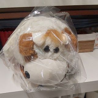 La bambola Fantastica è il regalo perfetto per ogni occasione ricca d'amore.