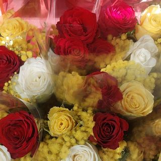 Mimosa testa di donna misto Rosa rosso bianco giallo con insiemi mimosa bellissima