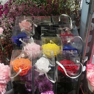Rose e sterilizzate tutto quello lì quando deve ordinare solo gli scrivi i colori solo iscriviti i colori grazie
