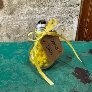 Lampadina con mimosa "siamo luce"