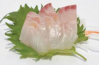 Sashimi Suzuki