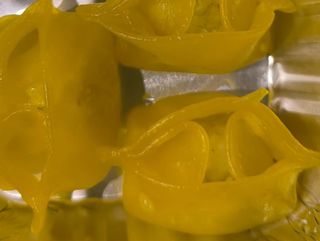 ravioli di merluzzo 4pezzi