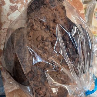 Colomba caffè 1kg