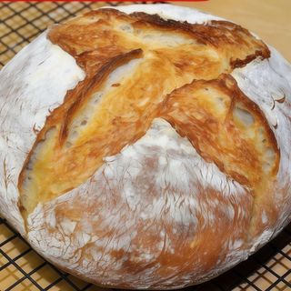 Pane