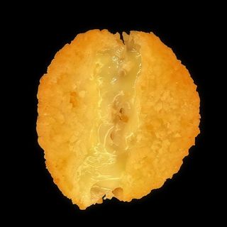 8 PALLINE DI FORMAGGIO CAMEMBERT