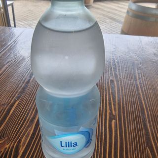 Acqua naturale 50 cl