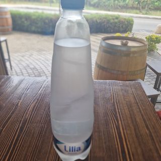 Acqua naturale 1 l
