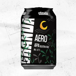 APA Gluten Free (33cl)