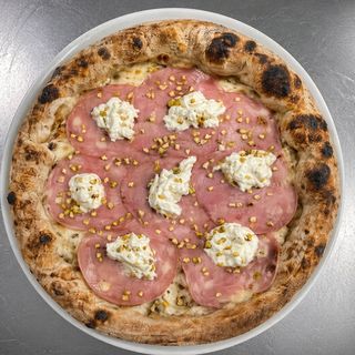 Bologna