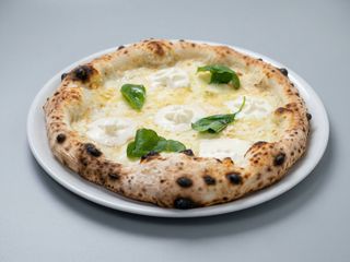 Base bianca