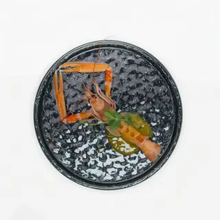 Scampi passione