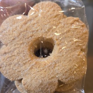 Canestrelli