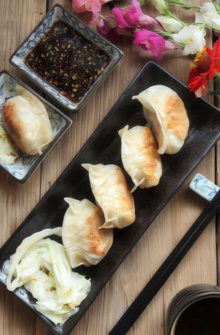 Gyoza verdura 5 pezzi