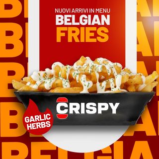 Belgian Fries GARLIC HERBS