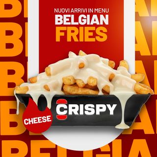 Belgian Fries CHEESE