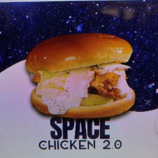 Space chicken 2.0