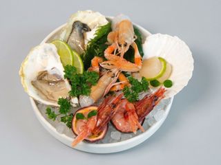 Sashimi platinum