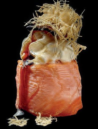 103 Gio tartufo 4 pezzi