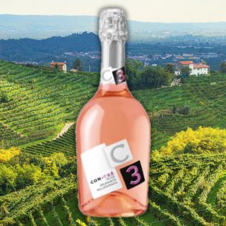 CONTARINI CON-TRÈ ROSÈ MILLESIMATO