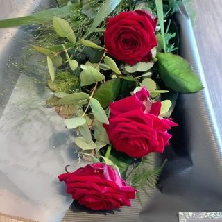 3Rose rosse