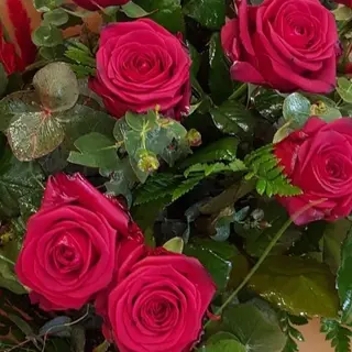 5 Rose Rosse Fresche