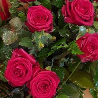 5 Rose Rosse Fresche