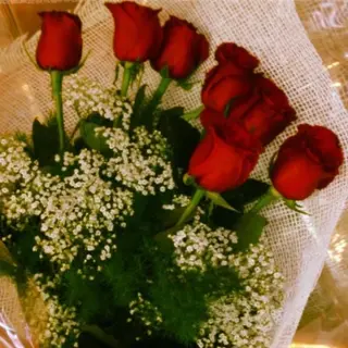 7 rose rosse