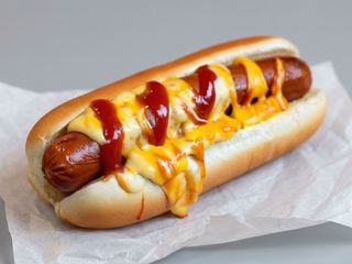 Lion's Hot Dog (con patatine)