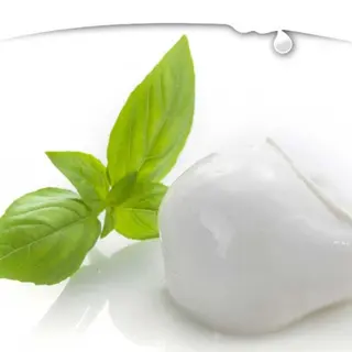 Bocconcino