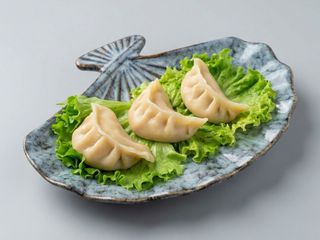 Ravioli di manzo alta qualità fatti a mano