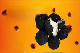 Mozzarelline fritte al tartufo