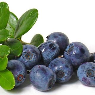 FT1- Blueberry Lemon Tea 500ml