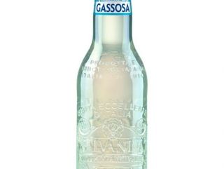 Gassosa Biologica Galvanina