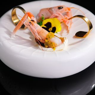 601.Scampi exotic 4pz