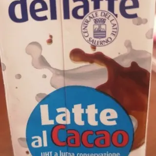 Centrale del latte e cacao brick