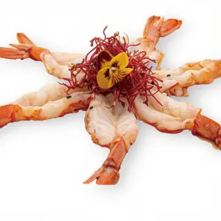38. Carpacci amaebi