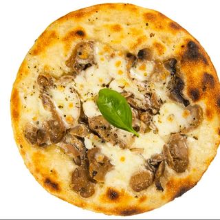 Champignon Big