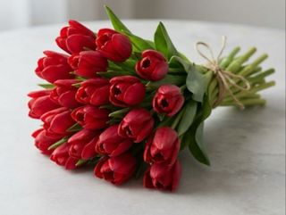 Tulipani  rosse