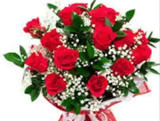 Rose rosse 11